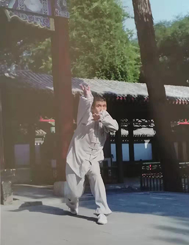 张斌先生演练白猿通背拳