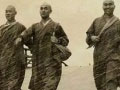 ����Ӱ��